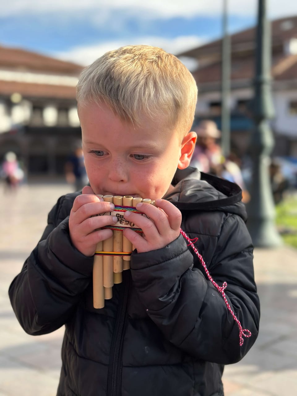 🚌 #163 Lena ist zurück, Touri-Tour und Feuer