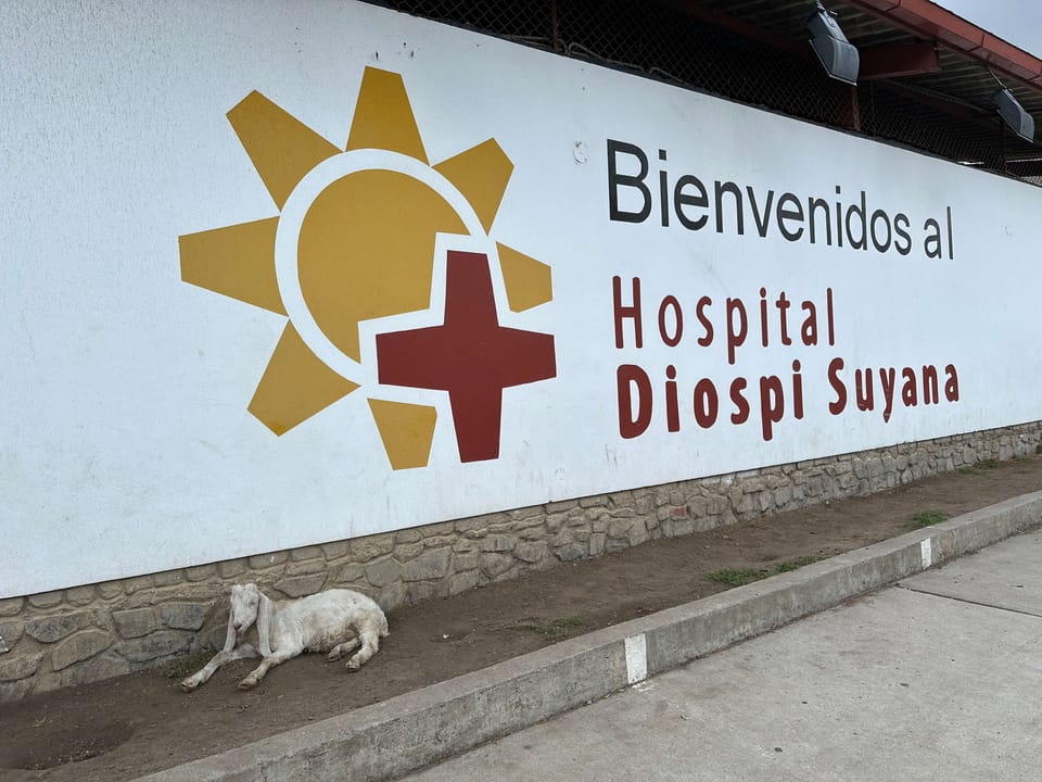 👩‍🎓 #167 Promotionen, vermeintlicher Geburtstag und großes Plätzchenbacken