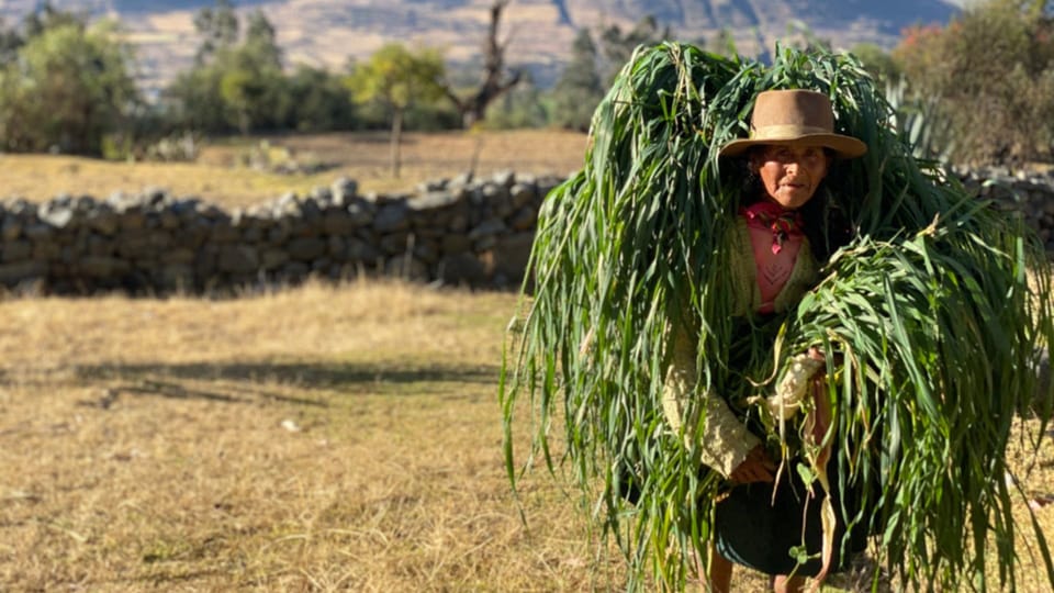📕 #209 Mehr als erwartet