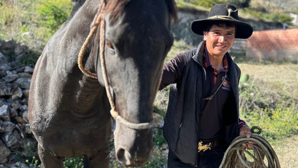 👨🏻‍🎓 #211 Promotion, Bo und der Weihnachtsstern